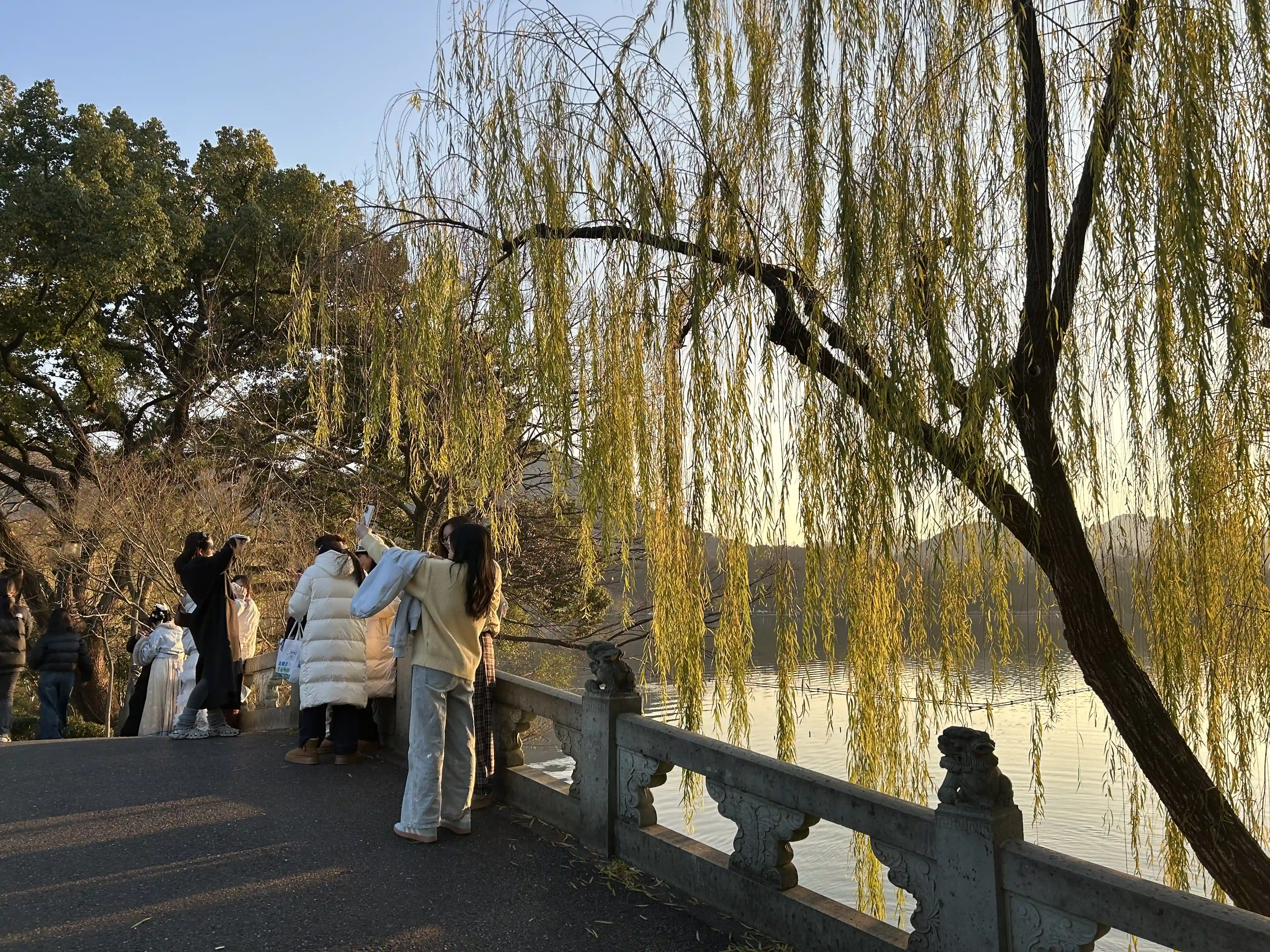 IMG_2081.webp