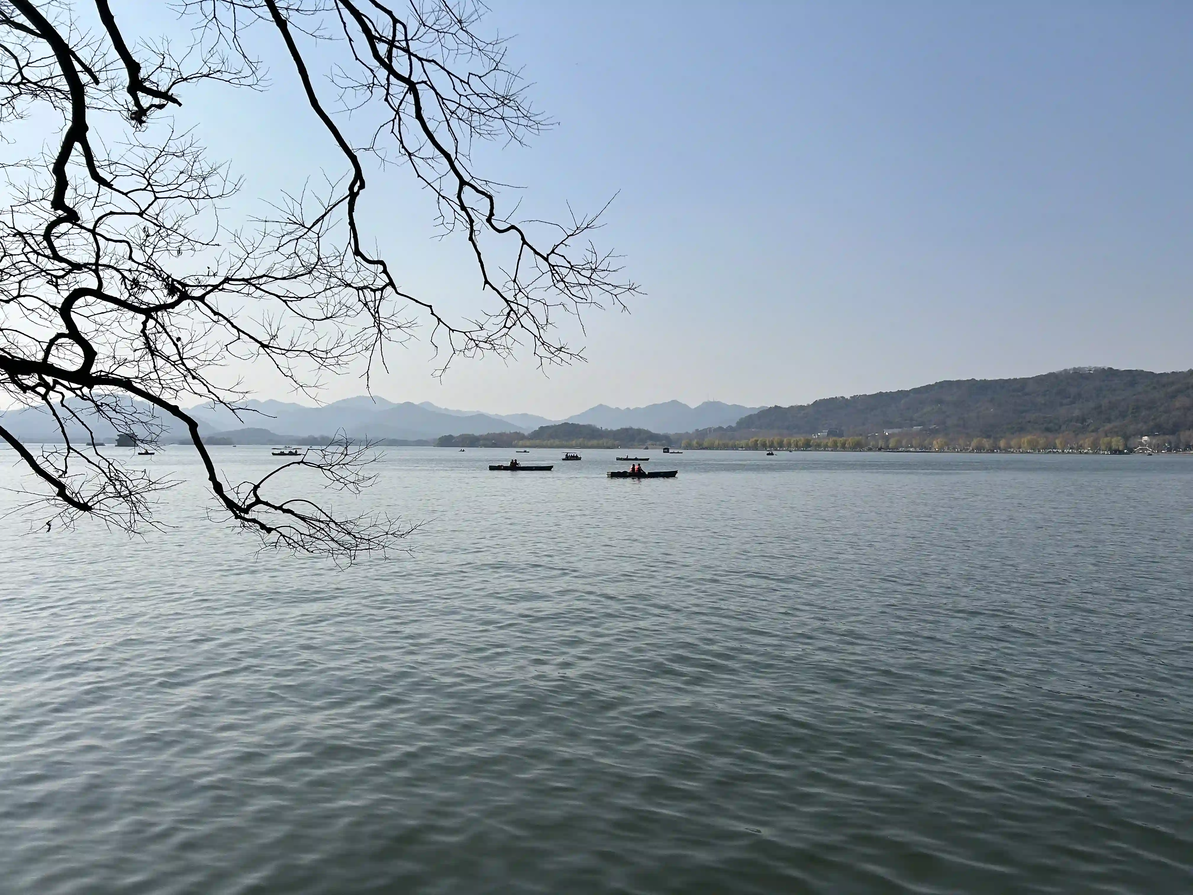 IMG_2097.webp