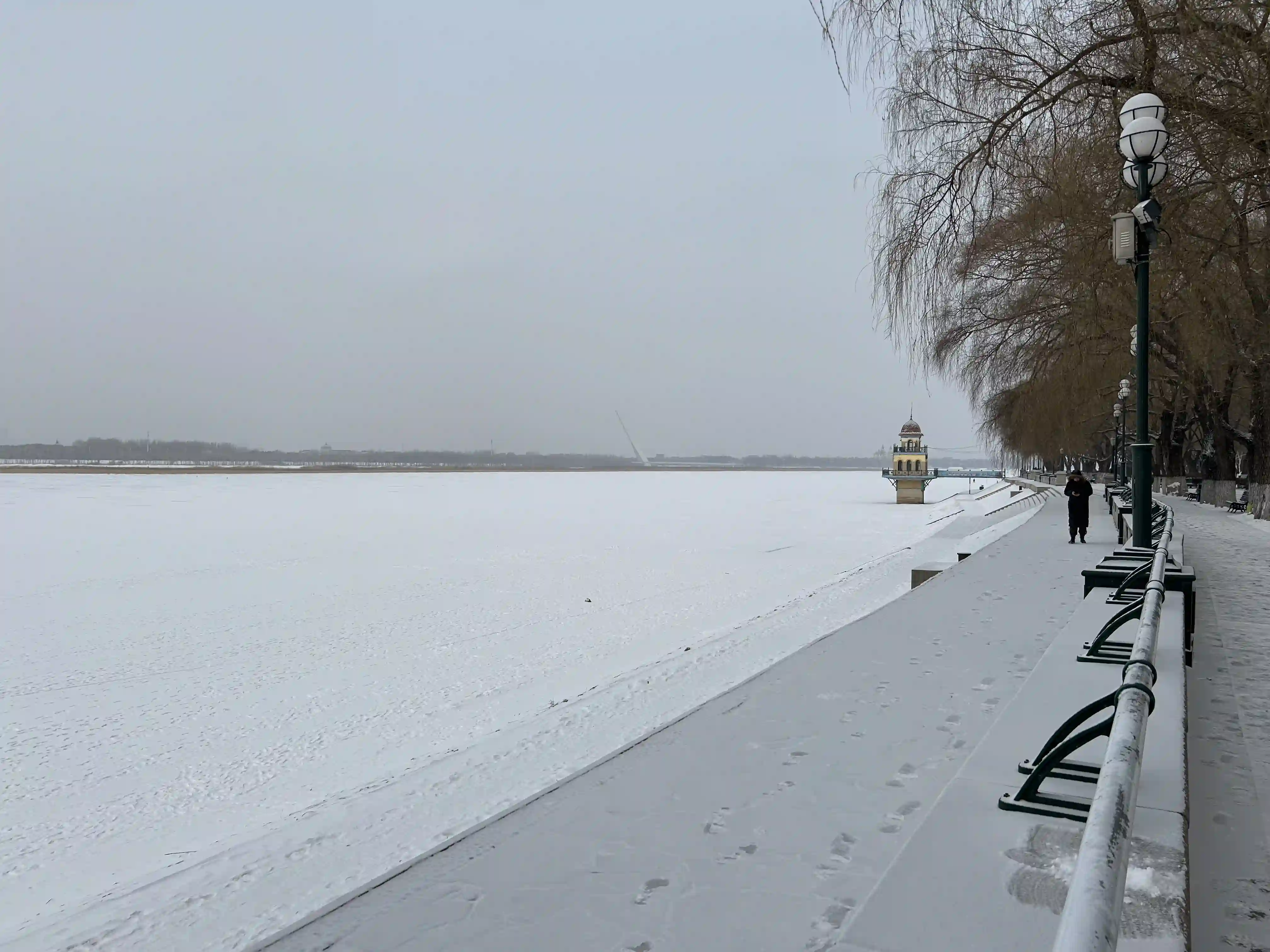 IMG_2352.webp