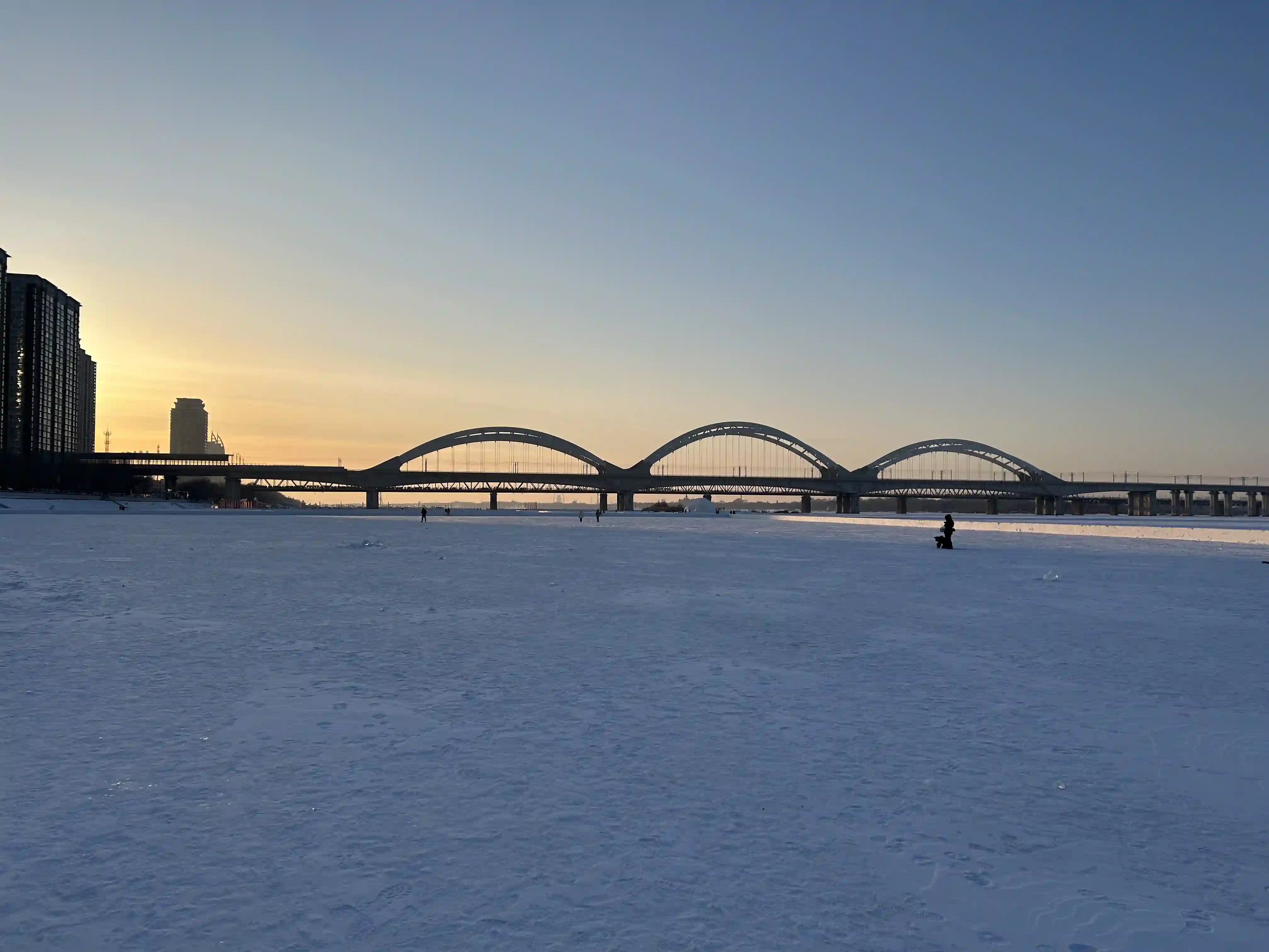 IMG_2547.webp