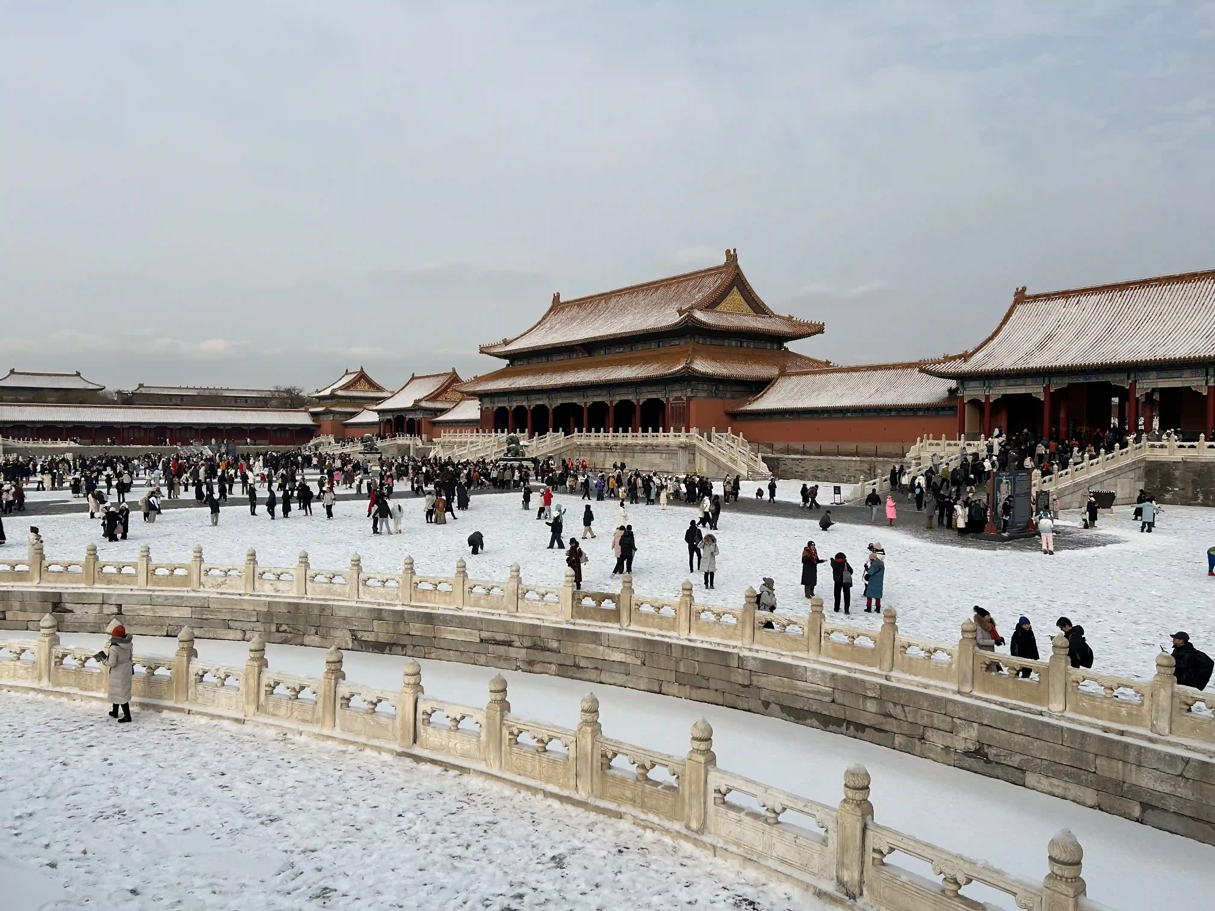 IMG_2689.webp